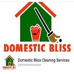 Domestic Bliss Building Cleaning Services LLC